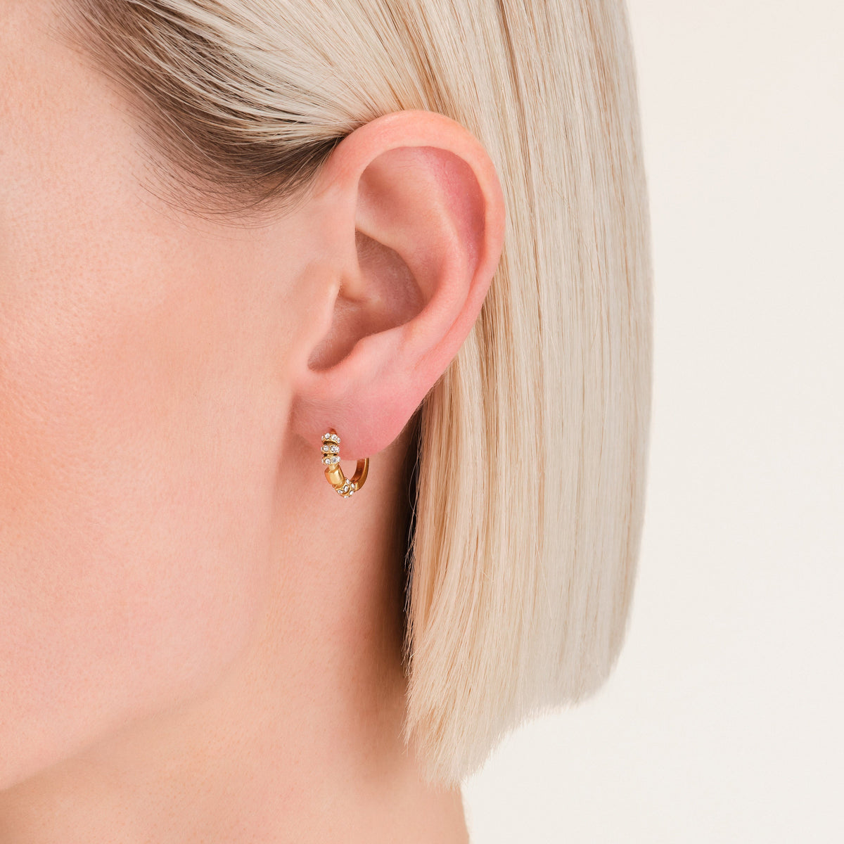 Crystal Loop Huggies leftcolumn