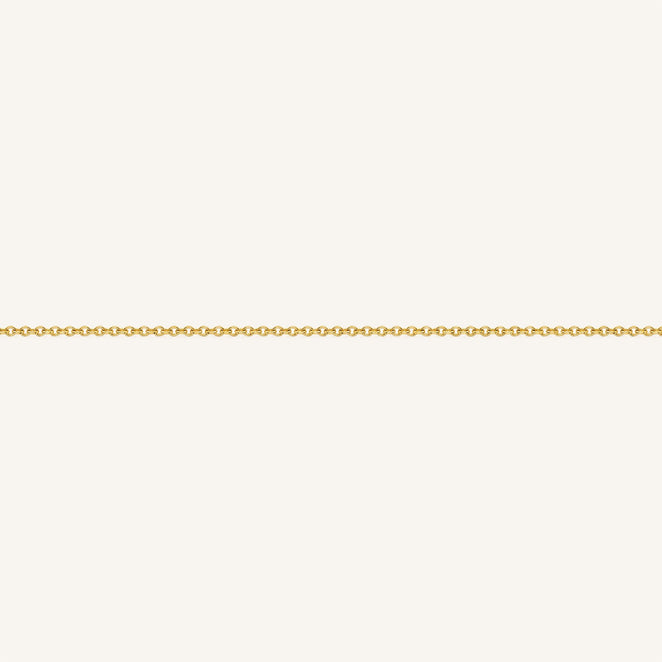 B-Gold-5,leftcolumn