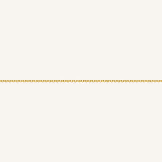 B-Gold-3,leftcolumn