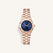 Rose XS Navy